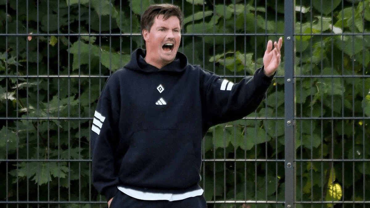 许多球迷至, 要他们, AA